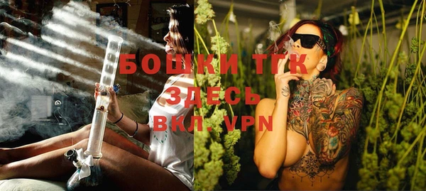 эйфоретик Белокуриха