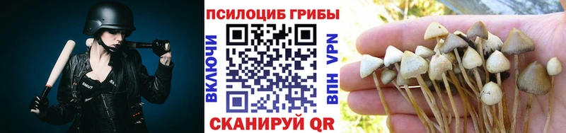 где найти наркотики  Бородино  Псилоцибиновые грибы мухоморы 